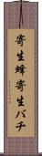 寄生蜂 Scroll
