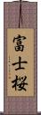 富士桜 Scroll