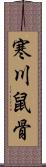 寒川鼠骨 Scroll