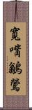 寬嘴鶲鶯 Scroll