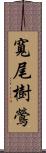 寬尾樹鶯 Scroll