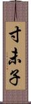 寸未子 Scroll