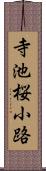 寺池桜小路 Scroll