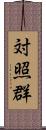 対照群 Scroll