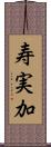 寿実加 Scroll