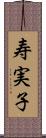寿実子 Scroll
