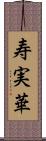 寿実華 Scroll