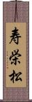 寿栄松 Scroll