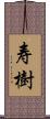 寿樹 Scroll