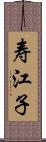 寿江子 Scroll