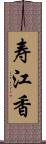 寿江香 Scroll