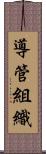 導管組織 Scroll