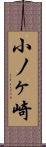 小ノヶ崎 Scroll