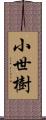 小世樹 Scroll