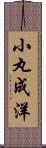 小丸成洋 Scroll