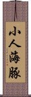 小人海豚 Scroll