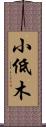 小低木 Scroll