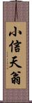 小信天翁 Scroll