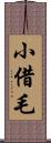 小借毛 Scroll