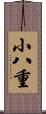 小八重 Scroll