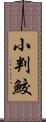 小判鮫 Scroll