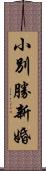 小別勝新婚 Scroll