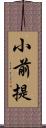 小前提 Scroll