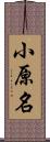 小原名 Scroll