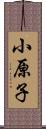 小原子 Scroll