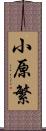 小原繁 Scroll