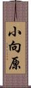 小向原 Scroll