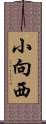 小向西 Scroll