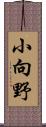 小向野 Scroll