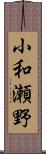小和瀬野 Scroll