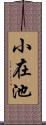 小在池 Scroll