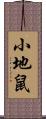 小地鼠 Scroll