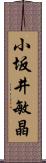 小坂井敏晶 Scroll