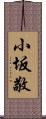 小坂敬 Scroll