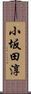 小坂田淳 Scroll