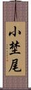 小埜尾 Scroll