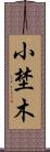 小埜木 Scroll