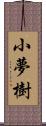 小夢樹 Scroll