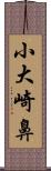 小大崎鼻 Scroll