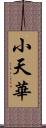 小天華 Scroll