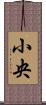 小央 Scroll