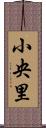 小央里 Scroll