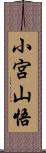 小宮山悟 Scroll