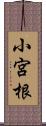 小宮根 Scroll