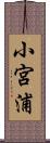 小宮浦 Scroll