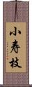 小寿枝 Scroll